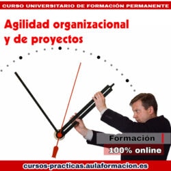 curso-universitario-agilidad-organizacional