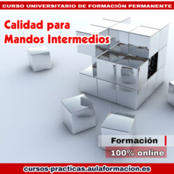 curso-universitario-calidad-mandos-intermedios