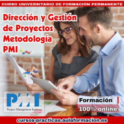 curso-universitario-direccion-gestion-proyectos-pmi