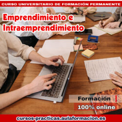 curso-universitario-emprendimiento-intraemprendimiento