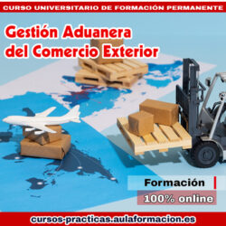 curso-universitario-gestion-aduanera-comercio-exterior