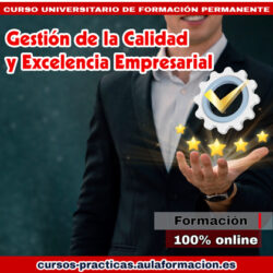 curso-universitario-gestion-calidad-excelencia-empresarial