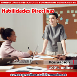 curso-universitario-habilidades-directivas