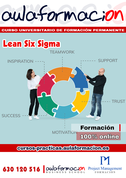 curso-universitario-lean-six-sigma