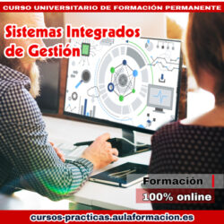 curso-universitario-sistemas-integrados-gestion