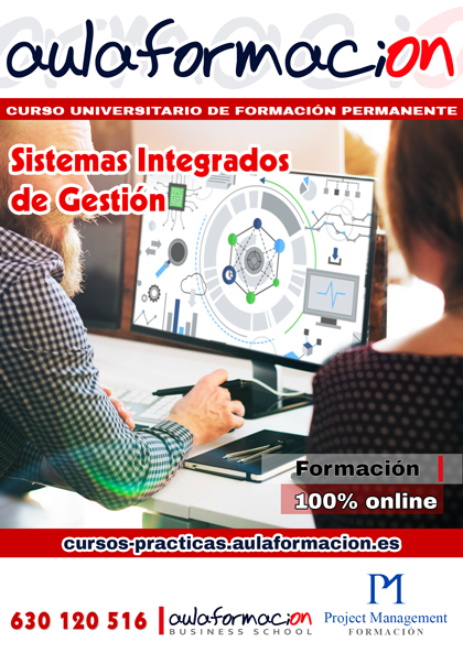 curso-universitario-sistemas-integrados-gestion